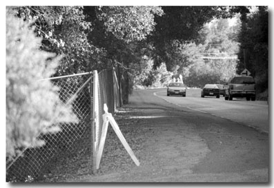 Alpine Road south of Junipero Serra. 