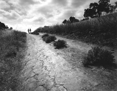 Stanford Dish area trail in the 1980s.